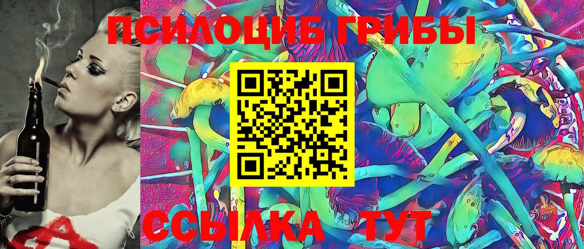 Вятские Поляны  Галлюциногенные грибы MAGIC MUSHROOMS  Вход с VPN 